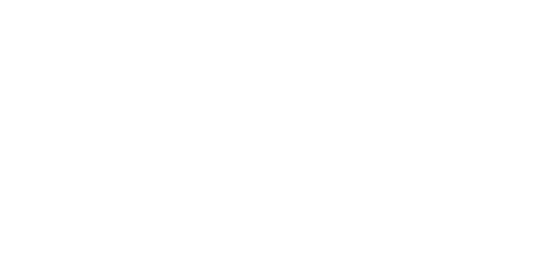 Vision